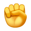 Raised Fist on Samsung