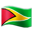 Guyana Flag on Samsung