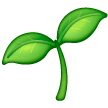 Seedling on Samsung