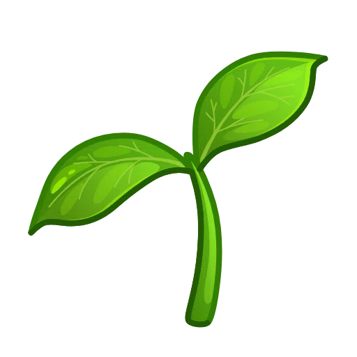 Seedling on Telegram