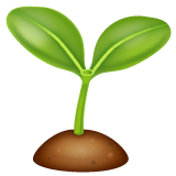 Seedling on WhatsApp
