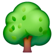 Deciduous Tree on Samsung