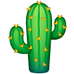 Cactus on Samsung