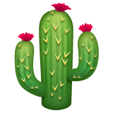 Cactus on WhatsApp