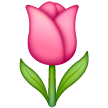 Tulip on Samsung