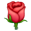 Rose on Samsung