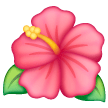 Hibiscus on Samsung