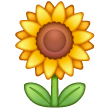 Sunflower on Samsung