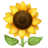 Sunflower on WhatsApp