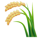 Ear Of Rice on WhatsApp