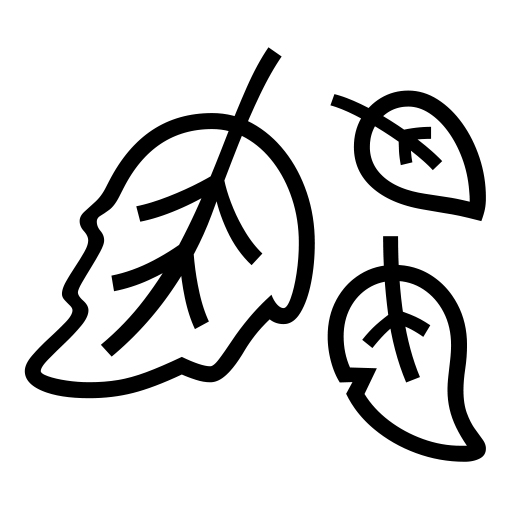 Fallen Leaf on Noto Emoji