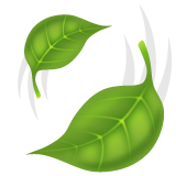 Leaf Fluttering In Wind on WhatsApp