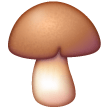 Brown Mushroom on Samsung