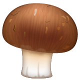 Brown Mushroom on WhatsApp
