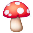 Mushroom on Samsung