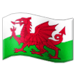 Wales Flag on Samsung