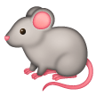 Rat on Samsung