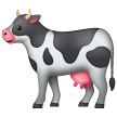 Cow on Samsung