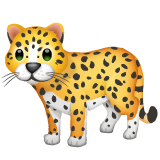 Leopard on WhatsApp