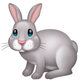 Rabbit on WhatsApp