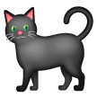 Black Cat on Samsung