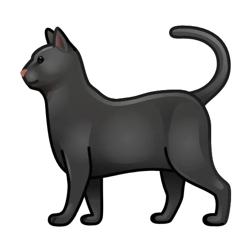 Black Cat on Telegram