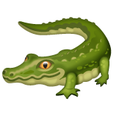 Crocodile on WhatsApp