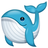 Whale on WhatsApp