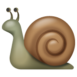 Snail on WhatsApp