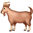 Goat on Samsung