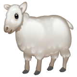 Sheep on WhatsApp