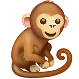 Monkey on WhatsApp