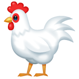 Rooster on WhatsApp