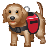 Service Dog on WhatsApp