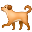 Dog on Samsung