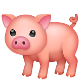 Pig on WhatsApp