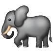 Elephant on Samsung
