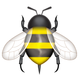 Honeybee on WhatsApp