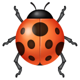 Lady Beetle on WhatsApp