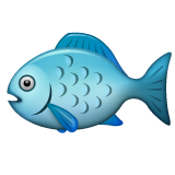 Fish on WhatsApp