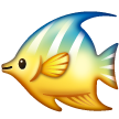 Tropical Fish on Samsung