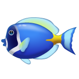 Tropical Fish on WhatsApp