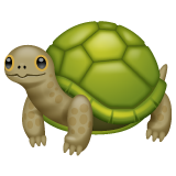 Turtle on WhatsApp