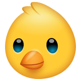 Baby Chick on WhatsApp