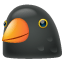 Black Bird on WhatsApp