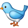 Bird on Samsung