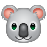 Koala on WhatsApp
