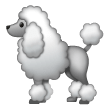 Poodle on Samsung
