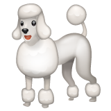 Poodle on WhatsApp
