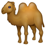 Bactrian Camel on WhatsApp